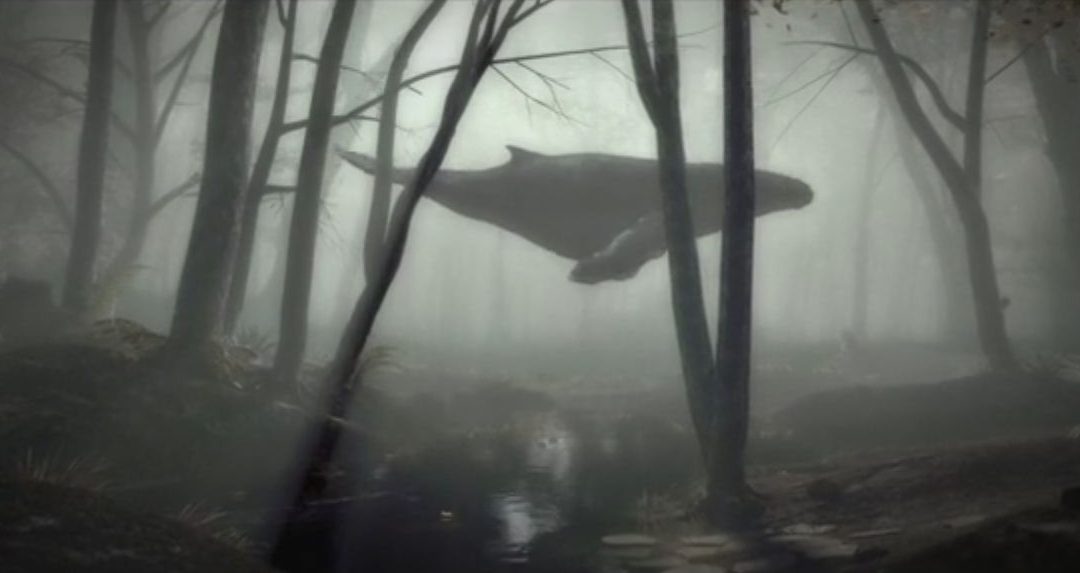 A Whale in the Forest